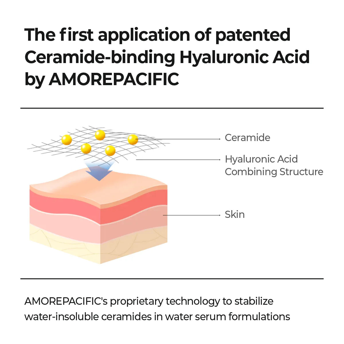 AESTURA Atobarrier365 Hydro Cera-HA Serum ceramide-binding hyaluronic acid technology for skin barrier hydration