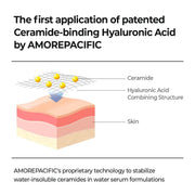 AESTURA Atobarrier365 hydro Cera-HA Ampoule 30ml - Korean OTC